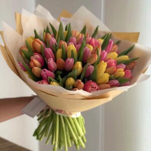 Premium-Tulpenmix